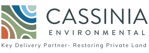 Cassinia Environmental logo