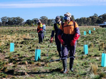 {{brizy_dc_image_alt entityId=