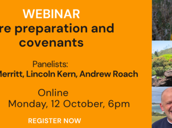 LCV Webinar