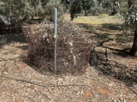 {{brizy_dc_image_alt imageSrc=