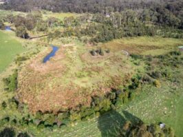 Mick Loughnan's Property {{brizy_dc_image_alt entityId=